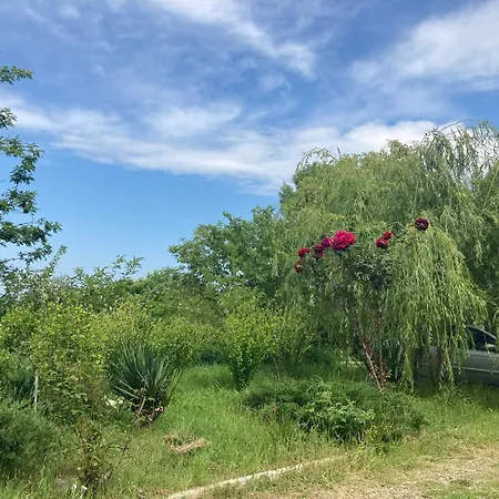 Appartamento Seaside Cosy Byala (Varna)